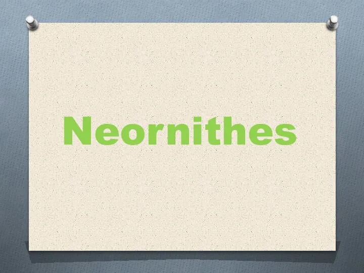 Neornithes