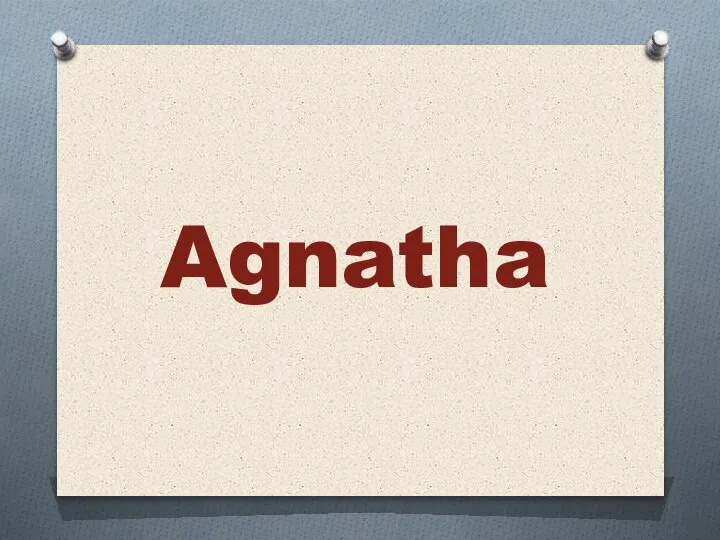 Agnatha