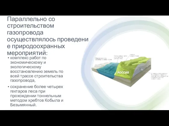 Параллельно со строительством газопровода осуществлялось проведение природоохранных мероприятий: комплекс работ по экономическому