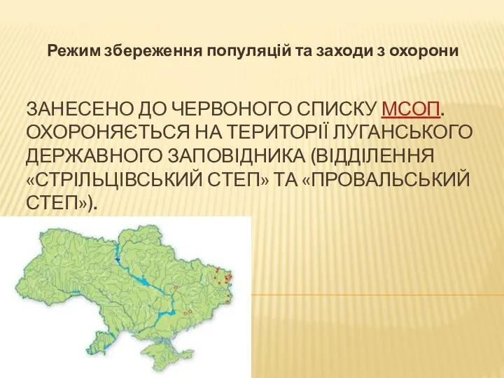 ЗАНЕСЕНО ДО ЧЕРВОНОГО СПИСКУ МСОП. ОХОРОНЯЄТЬСЯ НА ТЕРИТОРІЇ ЛУГАНСЬКОГО ДЕРЖАВНОГО ЗАПОВІДНИКА (ВІДДІЛЕННЯ