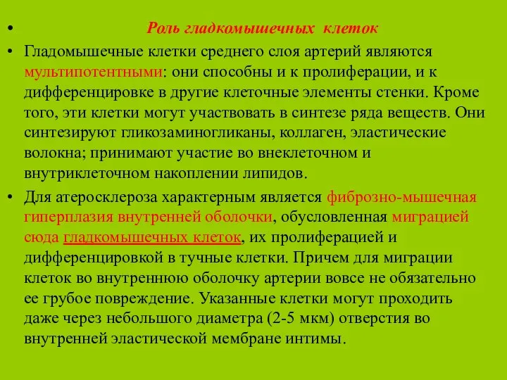 Роль гладкомышечных клеток Гладомышечные клетки среднего слоя артерий являются мультипотентными: они способны