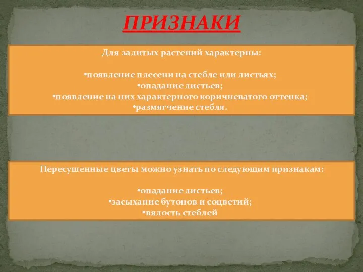 ПРИЗНАКИ Для залитых растений характерны: появление плесени на стебле или листьях; опадание