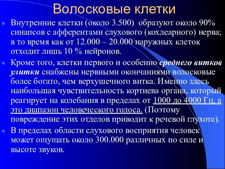 Волосковые клетки Внутренние клетки (около 3.500) образуют около 90% синапсов с афферентами