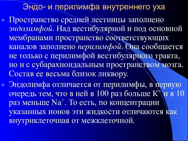 Эндо- и перилимфа внутреннего уха Пространство средней лестницы заполнено эндолимфой. Над вестибулярной