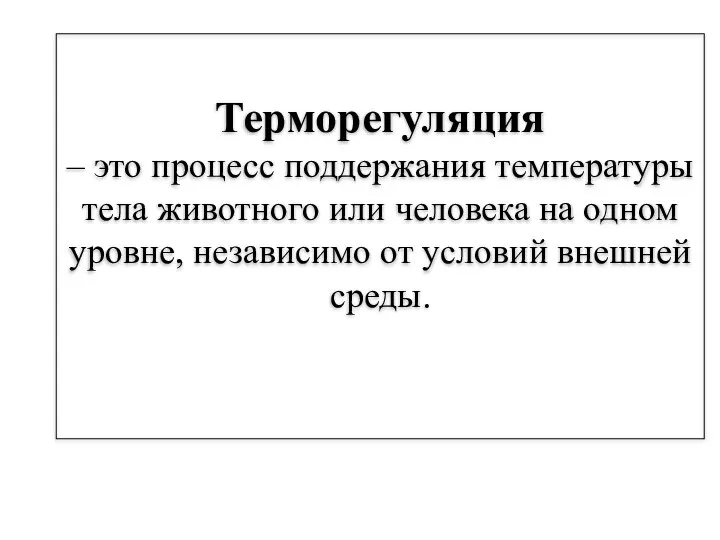 Терморегуляция – это процесс поддержания температуры тела животного или человека на одном