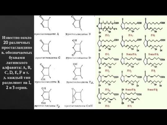 Известно около 20 различных простагландинов. обозначаемых буквами латинского алфавита: А, В, С,