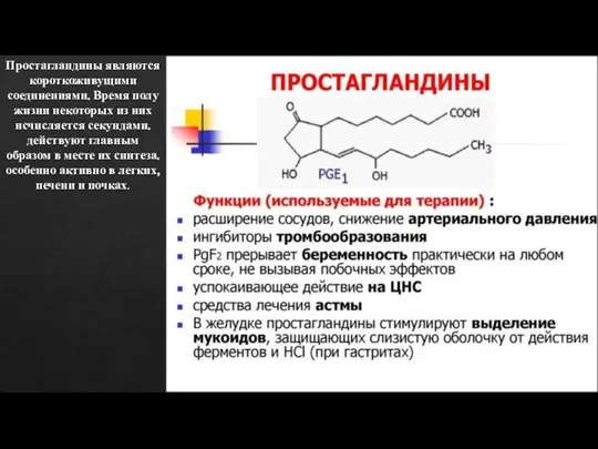 Простагландины являются короткоживущими соединениями. Время полу жизни некоторых из них исчисляется секундами.