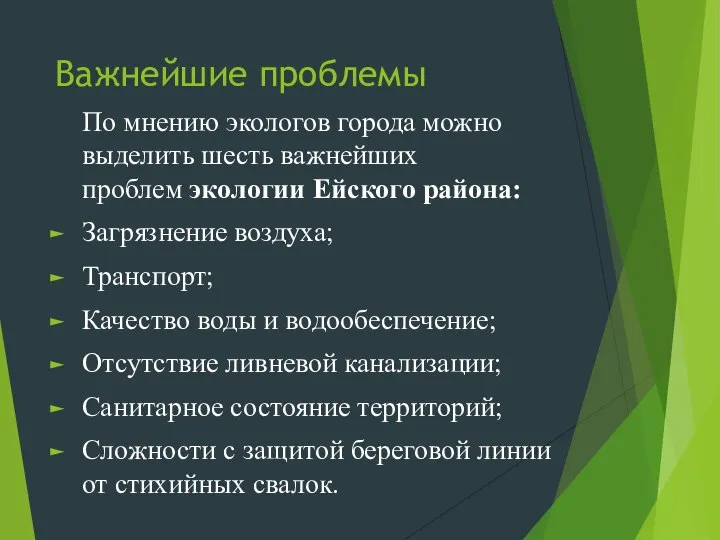 Важнейшие проблемы По мнению экологов города можно выделить шесть важнейших проблем экологии