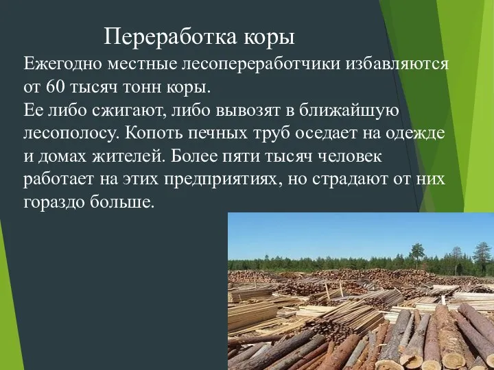 Ежегодно местные лесопереработчики избавляются от 60 тысяч тонн коры. Ее либо сжигают,