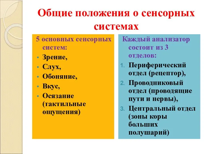 Общие положения о сенсорных системах 5 основных сенсорных систем: Зрение, Слух, Обоняние,