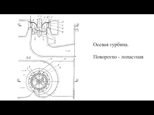 Осевая турбина. Поворотно - лопастная