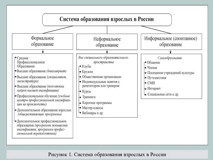 Рисунок 1. Система образования взрослых в России
