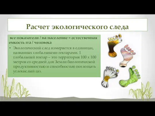 Расчет экологического следа все показатели / на население = естественная емкость гга