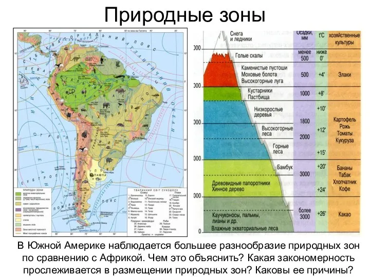 Природные зоны В Южной Америке наблюдается большее разнообразие природных зон по сравнению