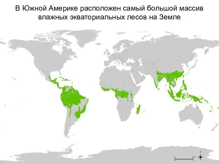 В Южной Америке расположен самый большой массив влажных экваториальных лесов на Земле