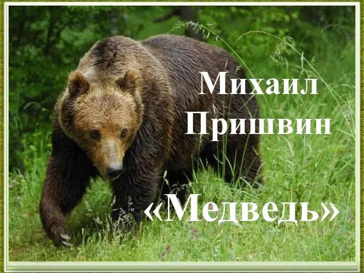 Михаил Пришвин «Медведь»