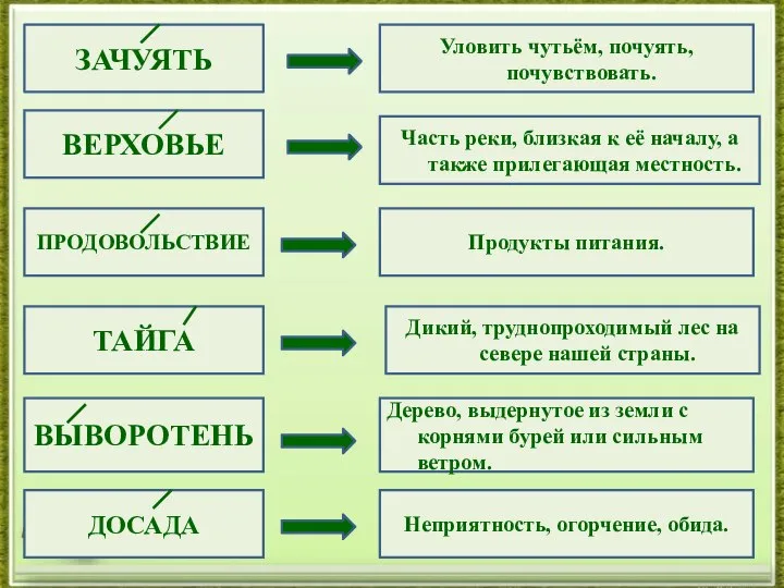 ЗАЧУЯТЬ ВЕРХОВЬЕ ПРОДОВОЛЬСТВИЕ ТАЙГА ВЫВОРОТЕНЬ ДОСАДА Уловить чутьём, почуять, почувствовать. Дерево, выдернутое