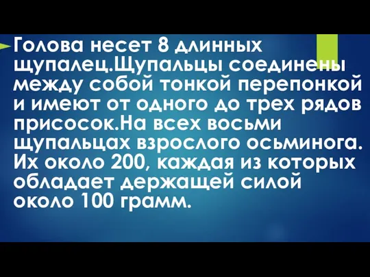 Голова несет 8 длинных щупалец.Щупальцы соединены между собой тонкой перепонкой и имеют