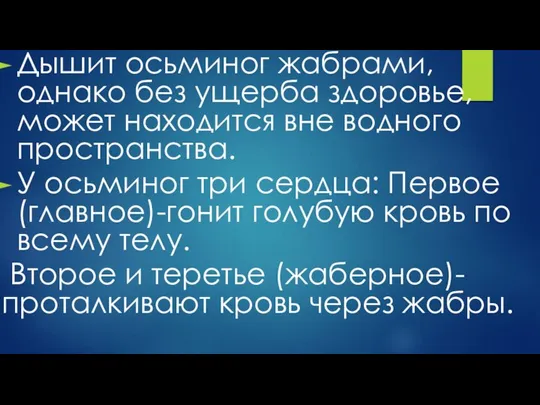 Дышит осьминог жабрами, однако без ущерба здоровье, может находится вне водного пространства.