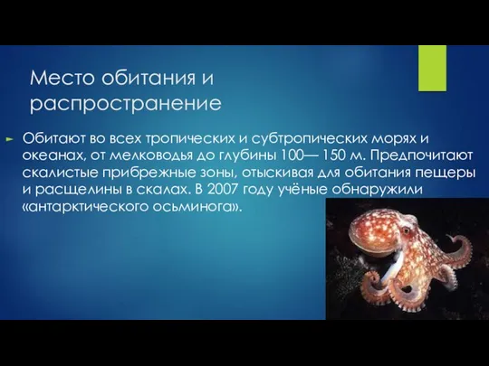 Место обитания и распространение Обитают во всех тропических и субтропических морях и