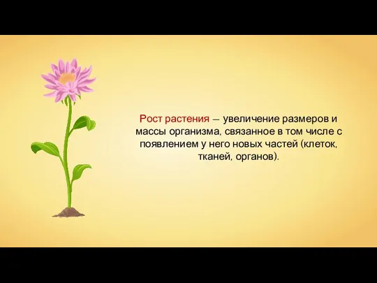 Рост растения — увеличение размеров и массы организма, связанное в том числе