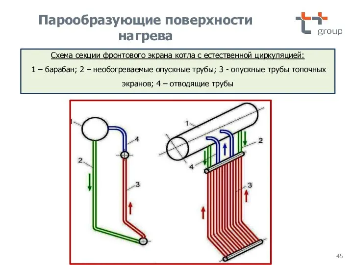 Схема секции фронтового экрана котла с естественной циркуляцией: 1 – барабан; 2