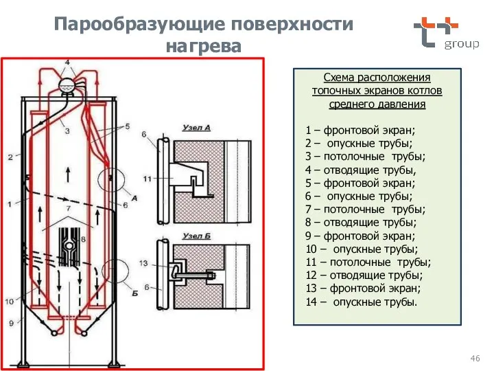 Схема расположения топочных экранов котлов среднего давления 1 – фронтовой экран; 2