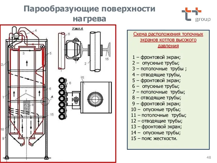 Схема расположения топочных экранов котлов высокого давления 1 – фронтовой экран; 2