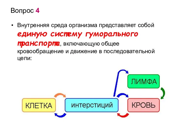 Вопрос 4 Внутренняя среда организма представляет собой единую систему гуморального транспорта, включающую