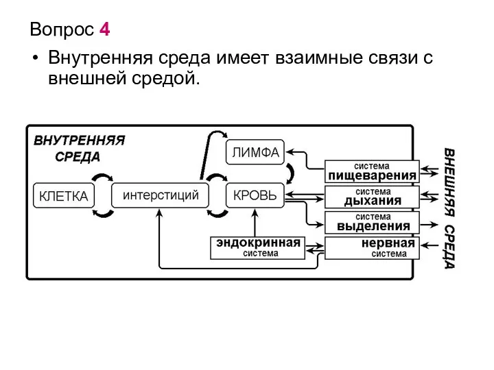 Вопрос 4 Внутренняя среда имеет взаимные связи с внешней средой.