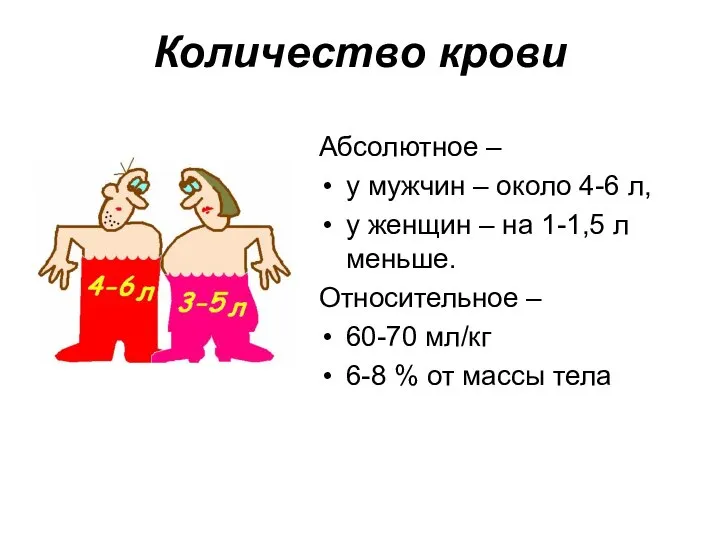 Количество крови Абсолютное – у мужчин – около 4-6 л, у женщин