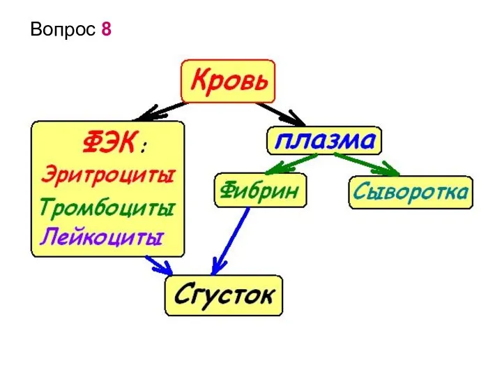 Вопрос 8