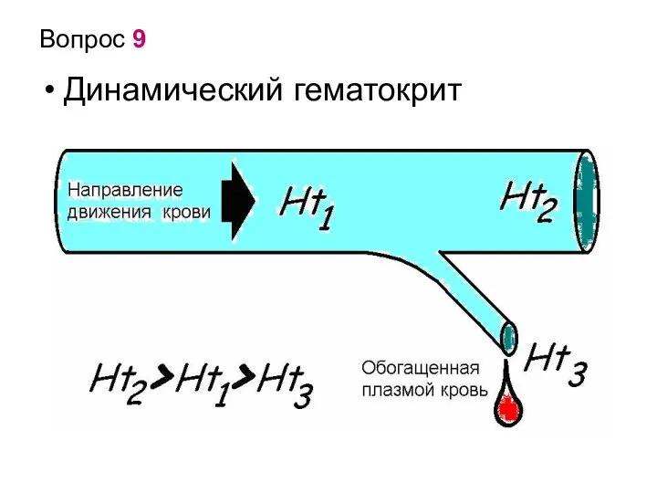 Вопрос 9 Динамический гематокрит