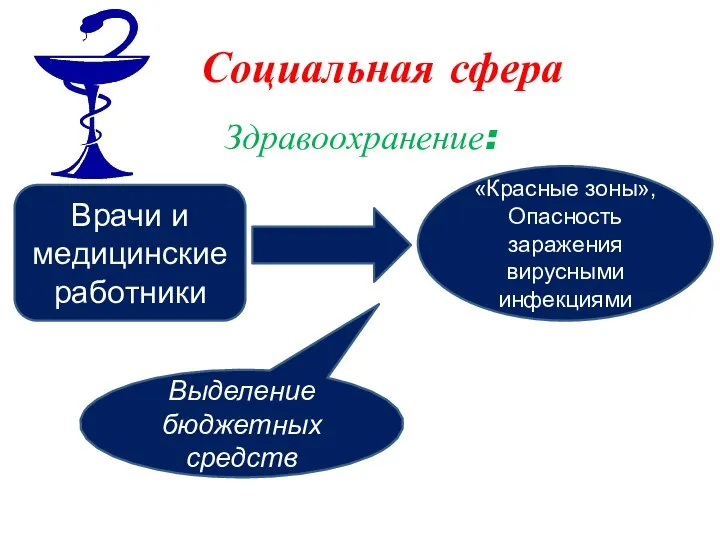 Социальная сфера Здравоохранение: Врачи и медицинские работники «Красные зоны», Опасность заражения вирусными инфекциями Выделение бюджетных средств