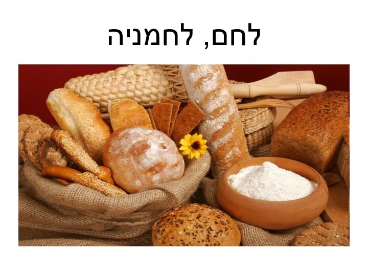 לחם, לחמניה