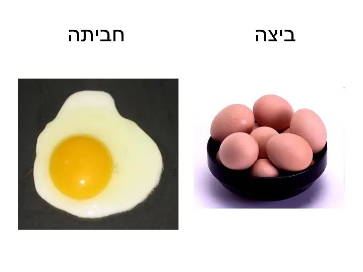 ביצה חביתה