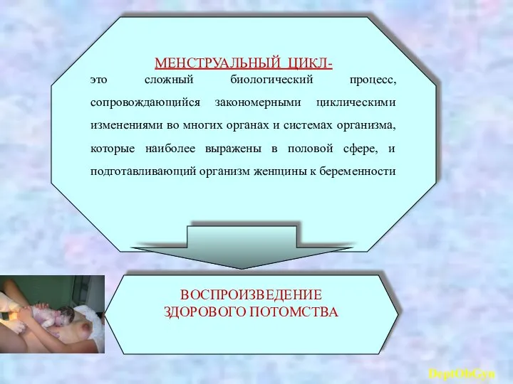 МЕНСТРУАЛЬНЫЙ ЦИКЛ- это сложный биологический процесс, сопровождающийся закономерными циклическими изменениями во многих