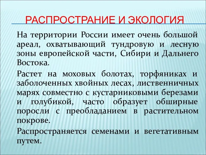 РАСПРОСТРАНИЕ И ЭКОЛОГИЯ На территории России имеет очень большой ареал, охватывающий тундровую