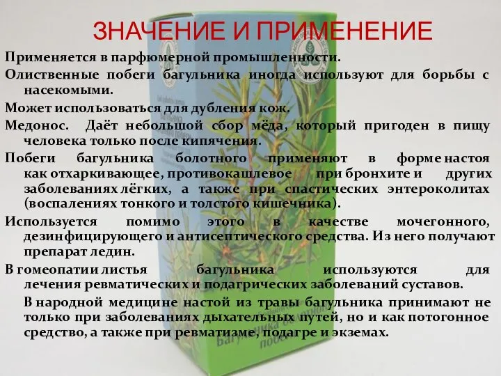 ЗНАЧЕНИЕ И ПРИМЕНЕНИЕ Применяется в парфюмерной промышленности. Олиственные побеги багульника иногда используют