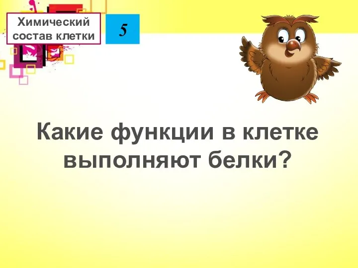 Какие функции в клетке выполняют белки? Химический состав клетки 5