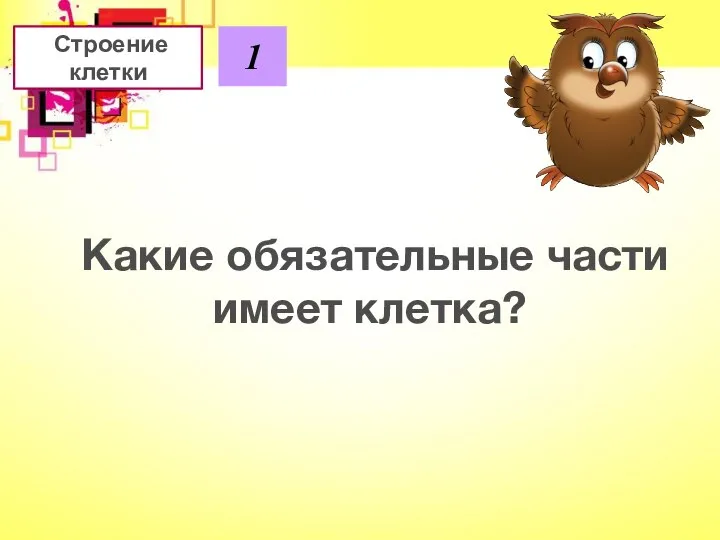 Строение клетки 1 Какие обязательные части имеет клетка?