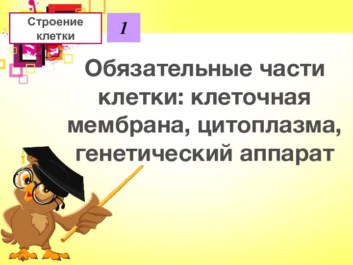 Строение клетки 1 Обязательные части клетки: клеточная мембрана, цитоплазма, генетический аппарат