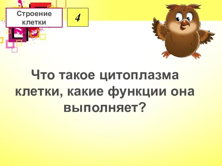 Что такое цитоплазма клетки, какие функции она выполняет? Строение клетки 4