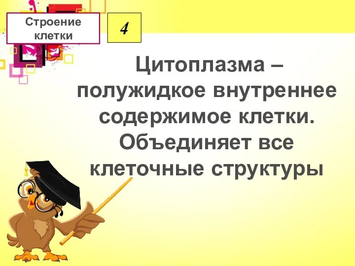 4 Цитоплазма – полужидкое внутреннее содержимое клетки. Объединяет все клеточные структуры Строение клетки