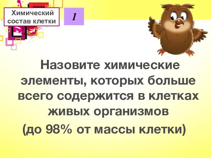 Химический состав клетки 1 Назовите химические элементы, которых больше всего содержится в