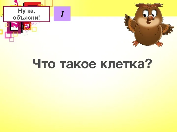 Ну ка, объясни! 1 Что такое клетка?