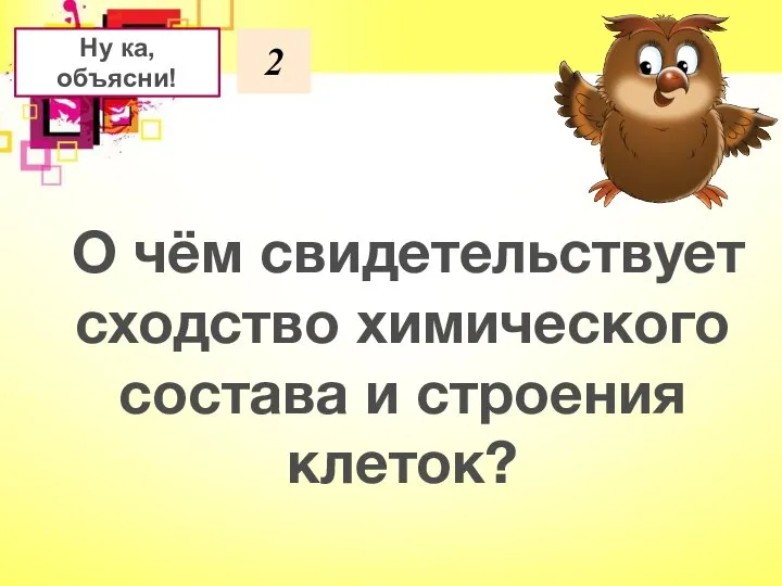 2 Ну ка, объясни! О чём свидетельствует сходство химического состава и строения клеток?