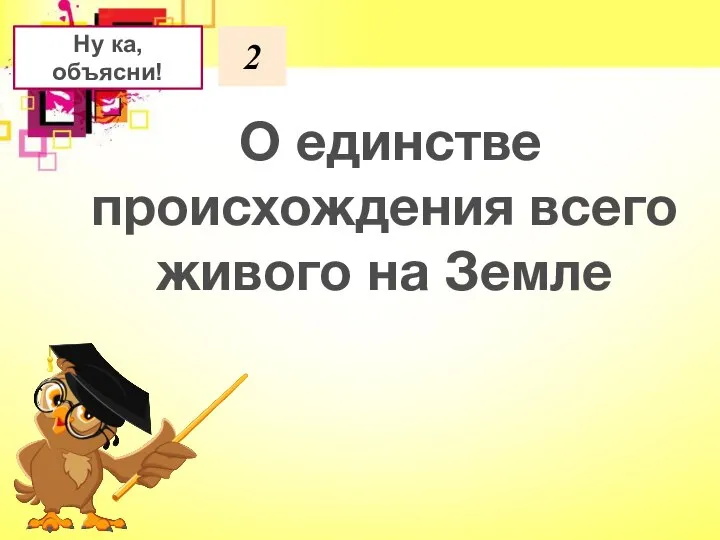 2 Ну ка, объясни! О единстве происхождения всего живого на Земле