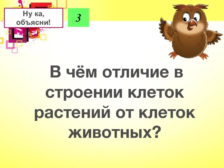 Ну ка, объясни! 3 В чём отличие в строении клеток растений от клеток животных?