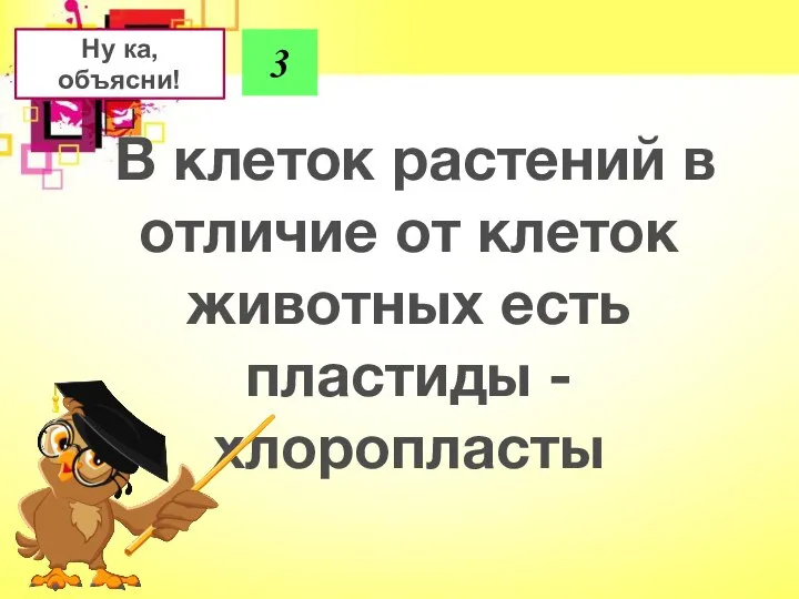 Ну ка, объясни! 3 В клеток растений в отличие от клеток животных есть пластиды - хлоропласты